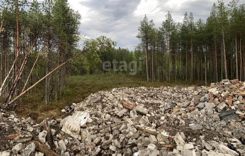 земля р-н Приморский п Катунино снт тер.Гвардеец фото 2