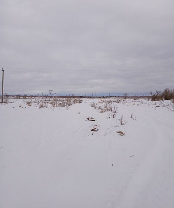 земля р-н Калининский п Заволжский фото 1