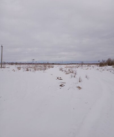 земля п Заволжский фото