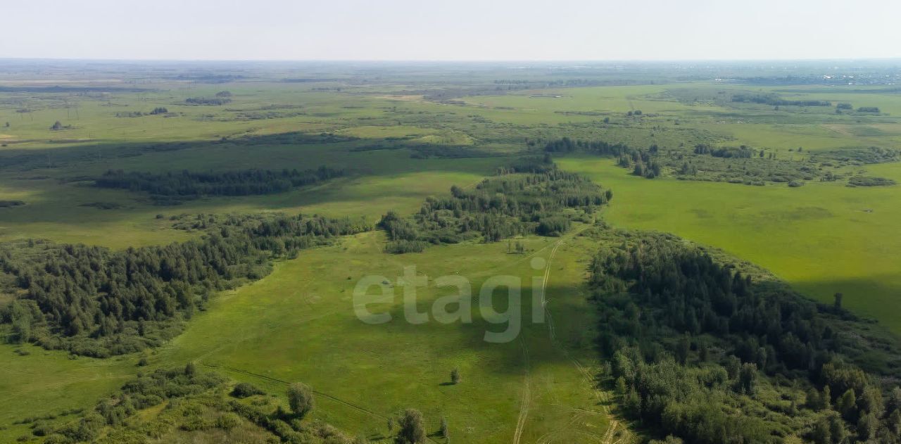 земля р-н Тюменский с Яр фото 4