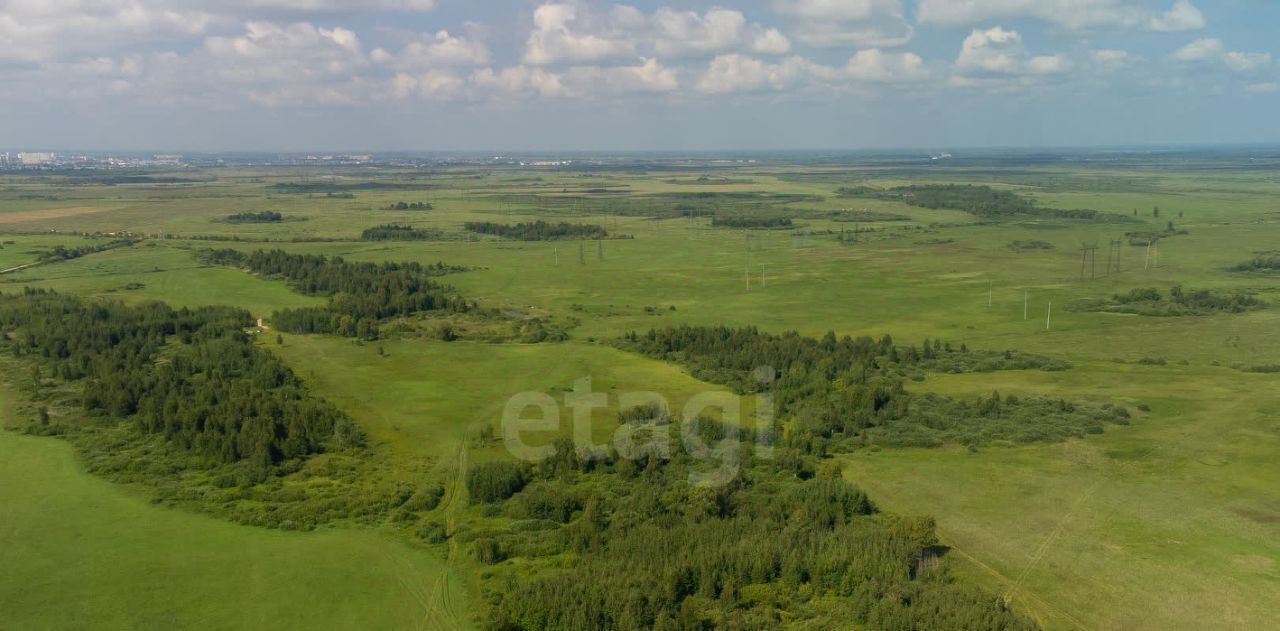 земля р-н Тюменский с Яр фото 3