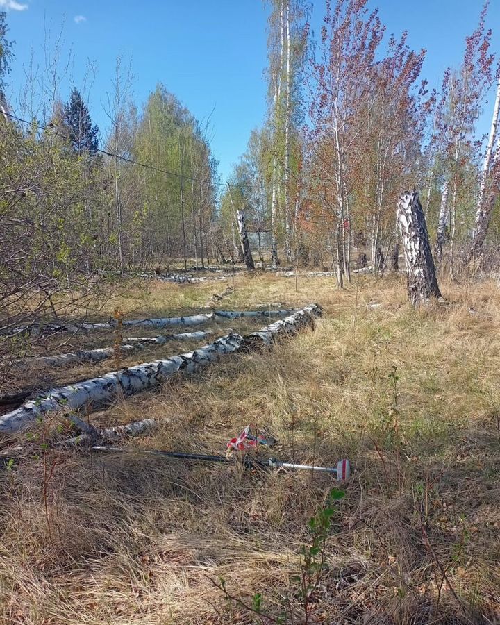 земля р-н Сосновский с Долгодеревенское снт Луч Дербишевское сельское поселение, Аргаяшский р-н фото 4