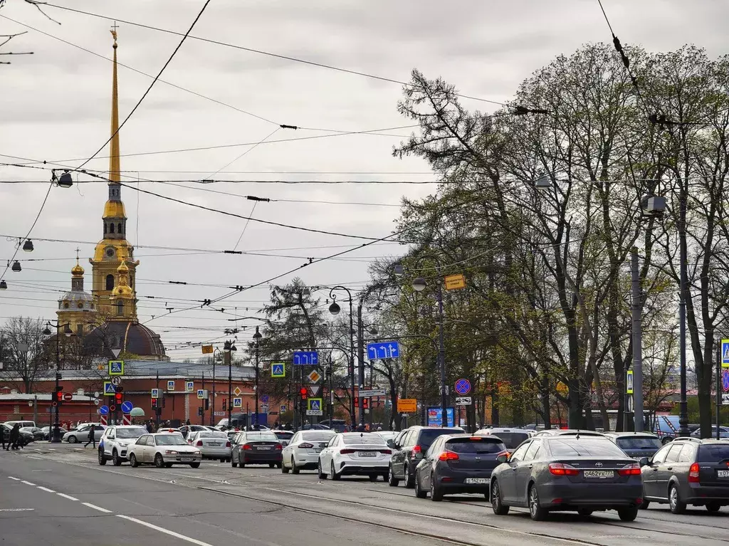 квартира г Санкт-Петербург метро Горьковская ул Куйбышева 32 Ленинградская область фото 46