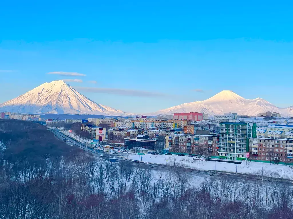 квартира г Петропавловск-Камчатский проезд Туристический 24 фото 17