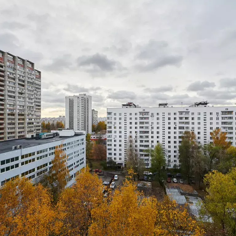 квартира г Москва метро Новогиреево ул Саянская 5к/1 Московская область фото 30