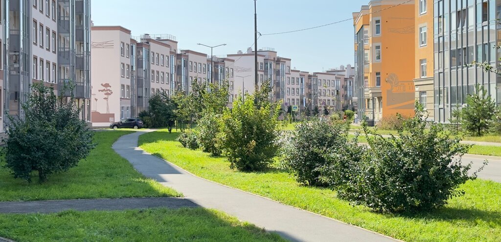 квартира г Санкт-Петербург п Парголово Парнас метро Парнас Толубеевский проезд, 14к 1 фото 8