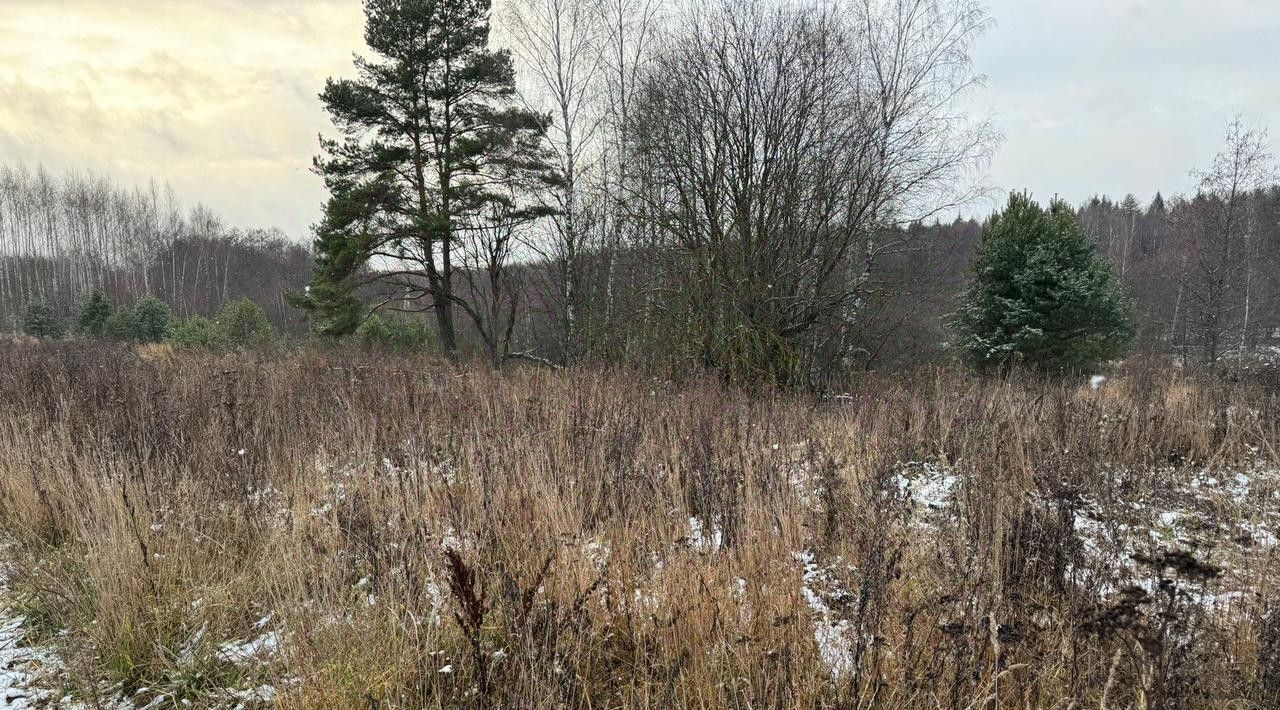 офис городской округ Богородский д Клюшниково фото 2