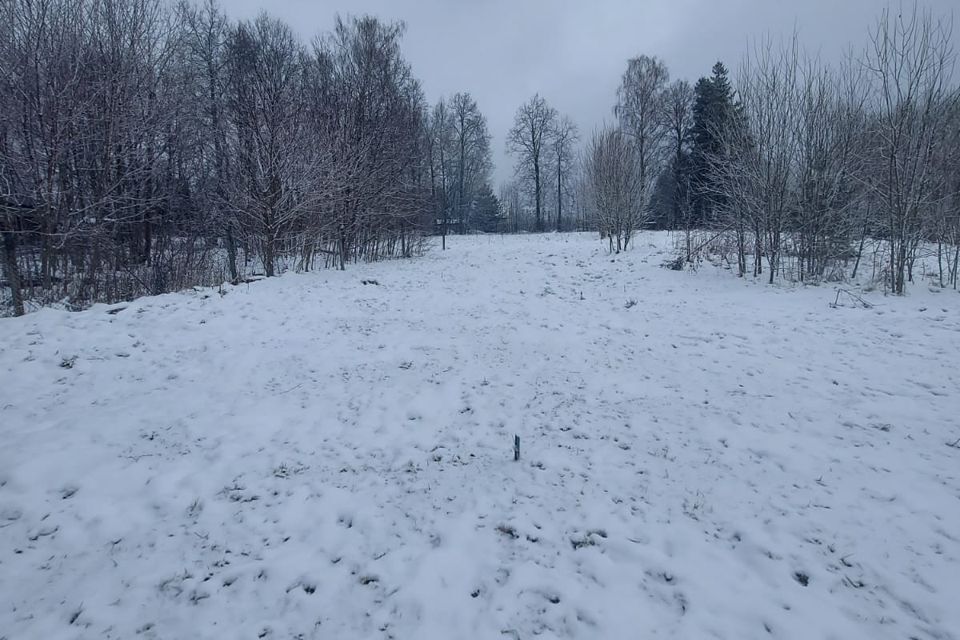 земля городской округ Солнечногорск д. Новое фото 1