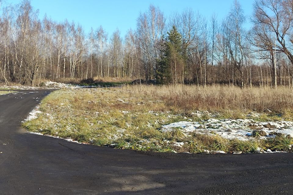 земля городской округ Орехово-Зуевский д. Кудыкино фото 1