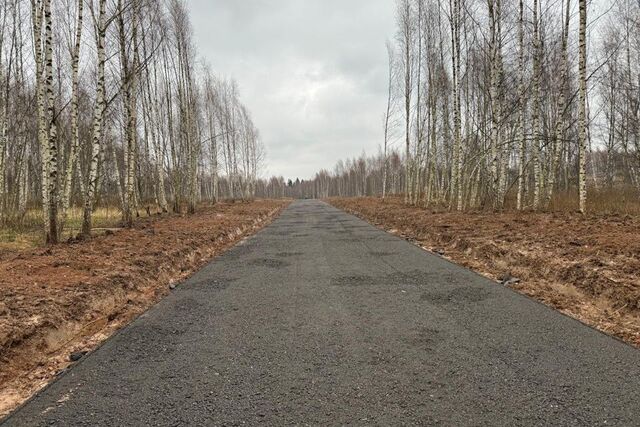 д. Сбоево фото