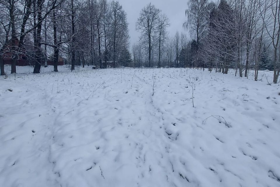 земля городской округ Солнечногорск д. Новое фото 3