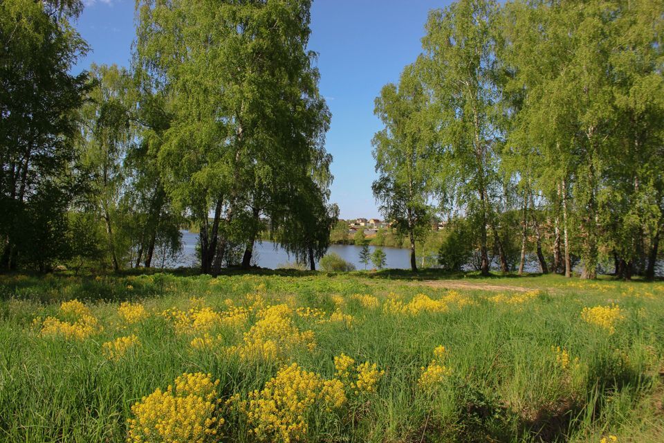 земля городской округ Домодедово д. Минаево фото 4