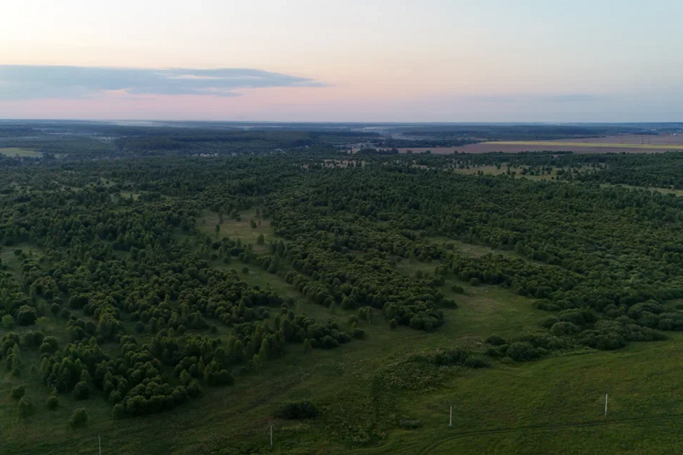 земля городской округ Ступино д. Байдиково фото 8