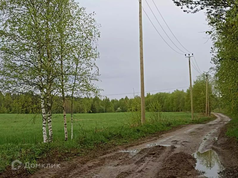 земля р-н Приозерский д. Васильево фото 10