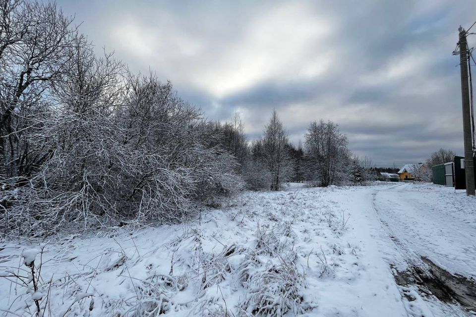 земля р-н Всеволожский д. Ваганово фото 8