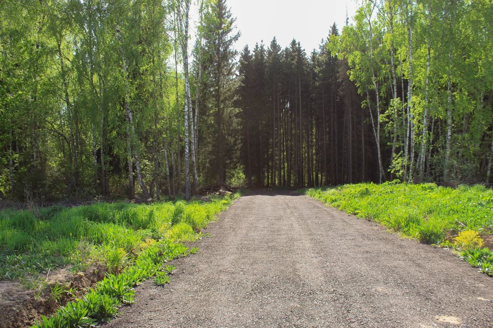 земля городской округ Домодедово д. Минаево фото 7