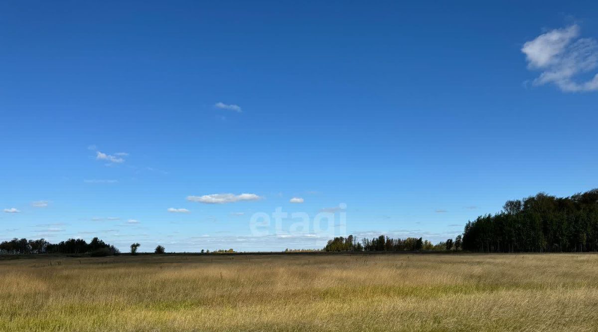 земля р-н Красноармейский п Луговой фото 1