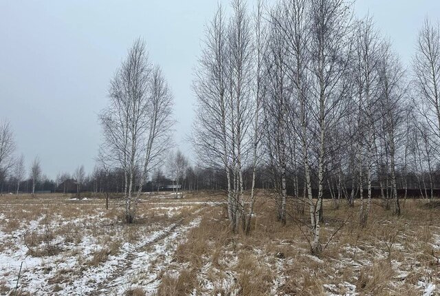 земля с Татаринцево фото