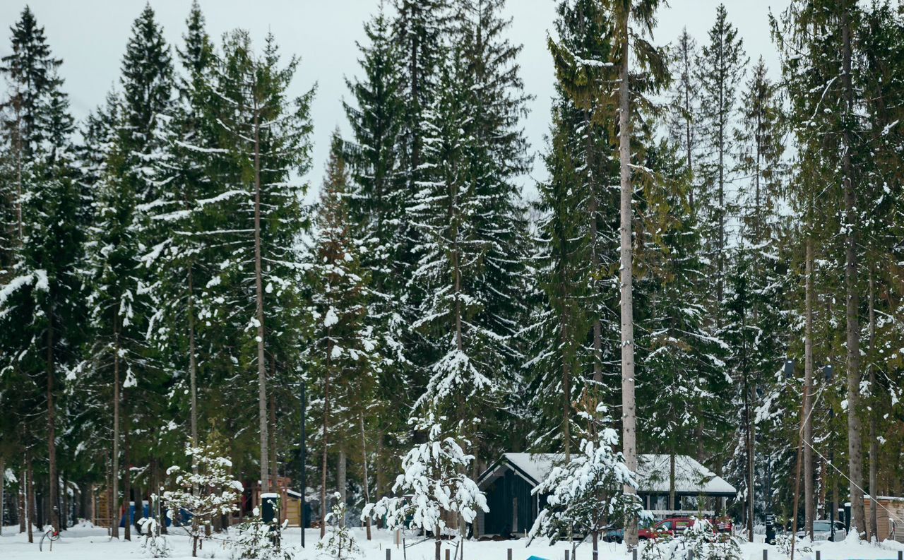 земля городской округ Солнечногорск дп Поварово 39 км, д. Новая, г. о. Солнечногорск, Пятницкое шоссе фото 1