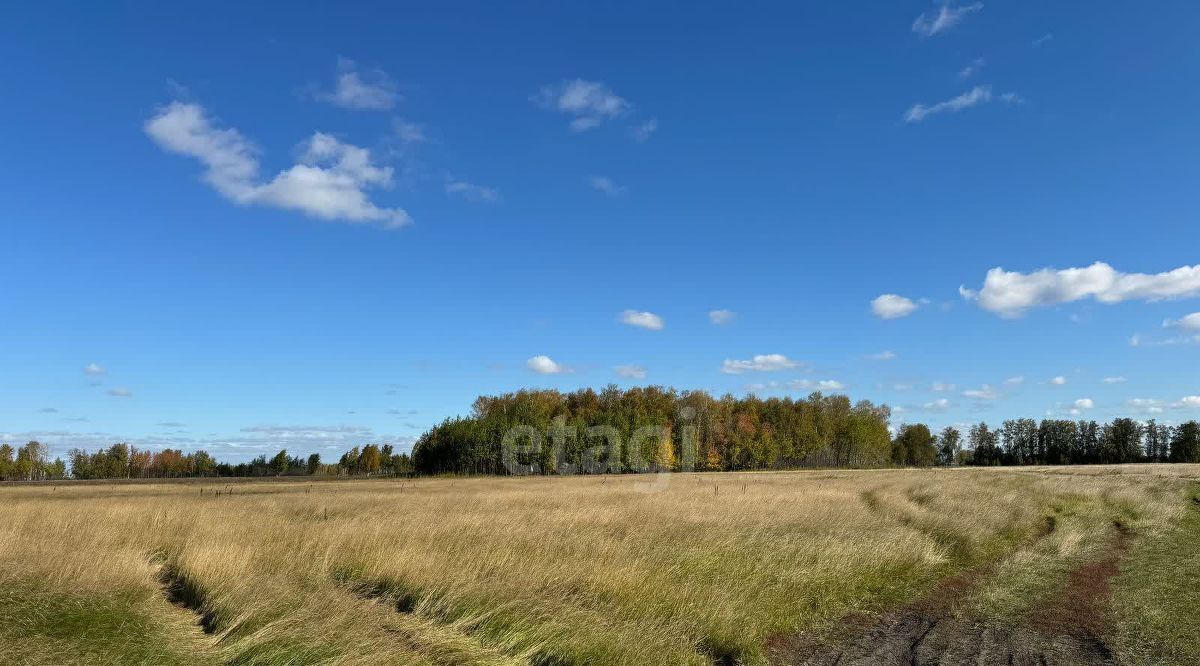 земля р-н Красноармейский п Луговой фото 4