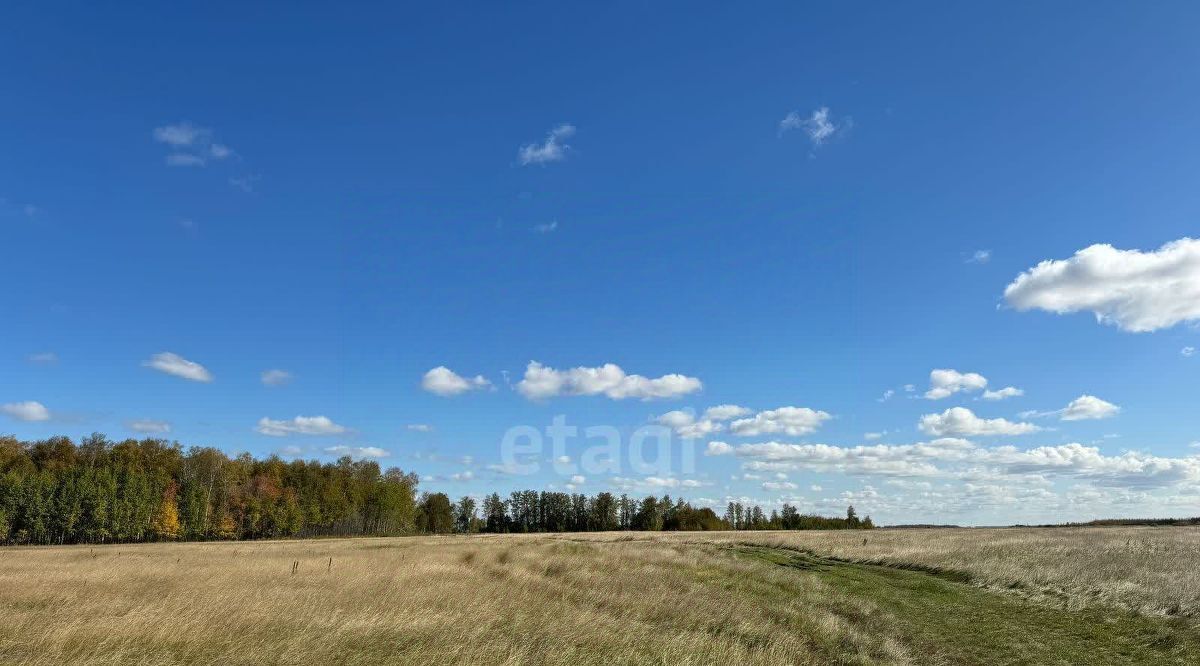 земля р-н Красноармейский п Луговой фото 3