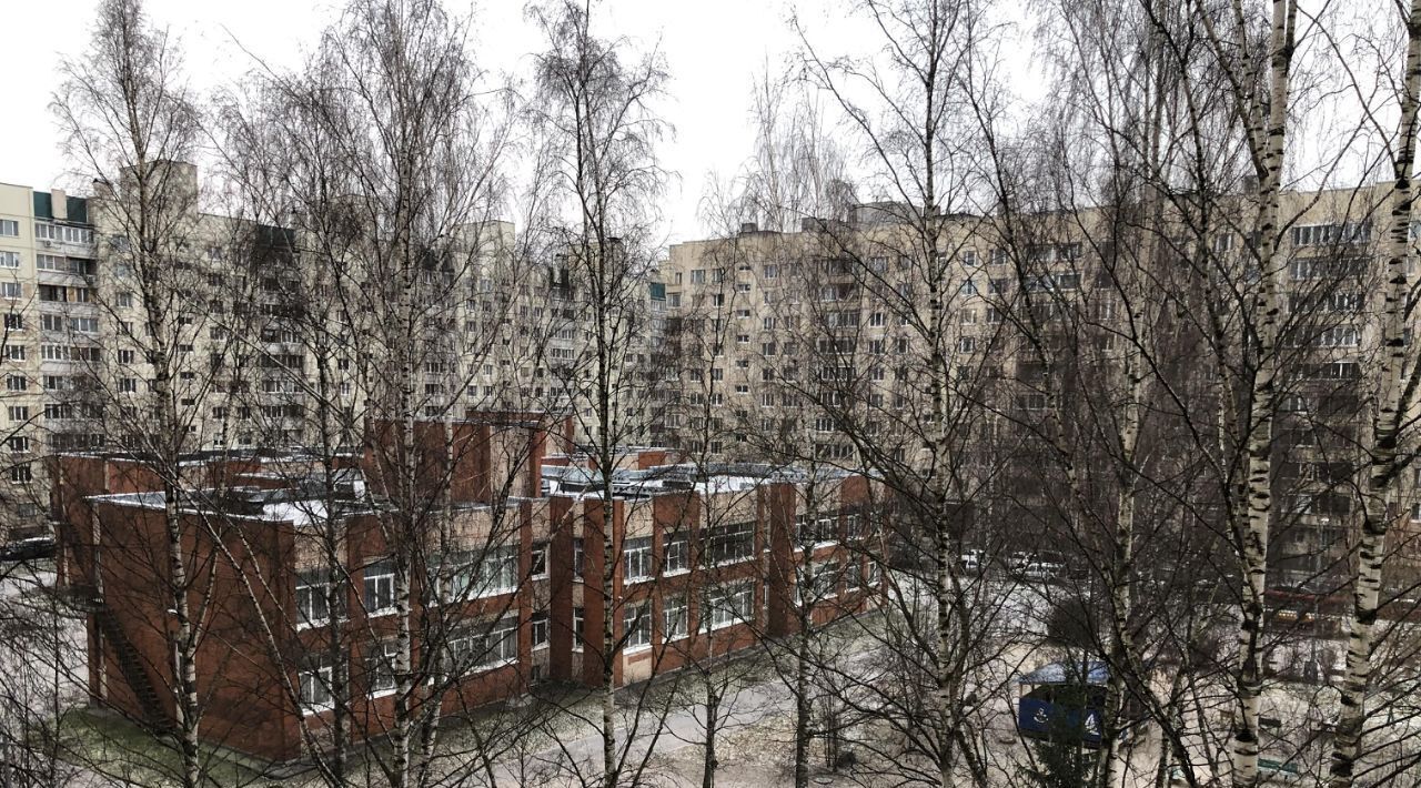 квартира г Санкт-Петербург метро Комендантский Проспект ул Долгоозёрная 11 округ Озеро Долгое фото 3