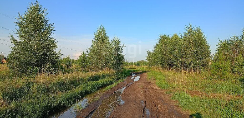 земля р-н Первомайский п Новый микрорайон Александрова слобода фото 3