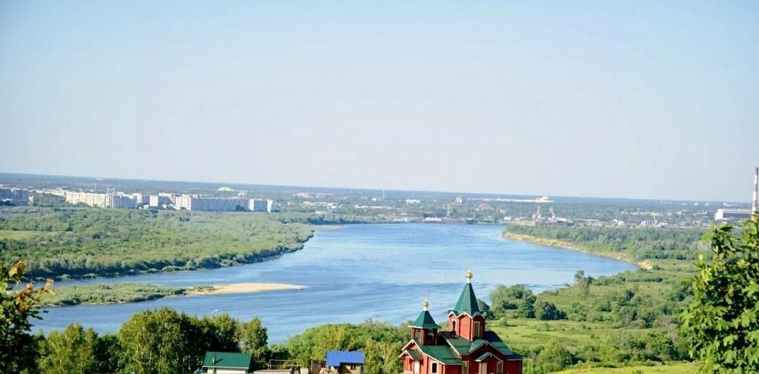 земля р-н Богородский д Трестьяны ул Счастливая фото 2