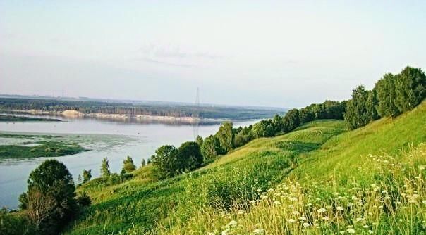 земля р-н Богородский д Трестьяны ул Счастливая фото 3