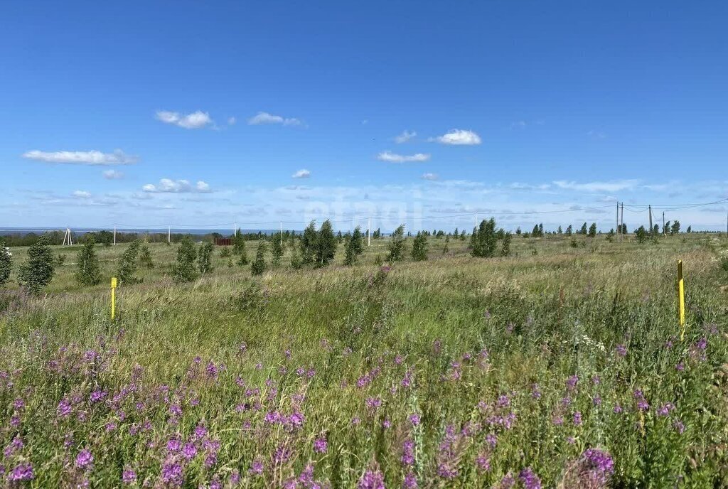 земля р-н Тукаевский д Кулушево Биюрганское сельское поселение фото 3