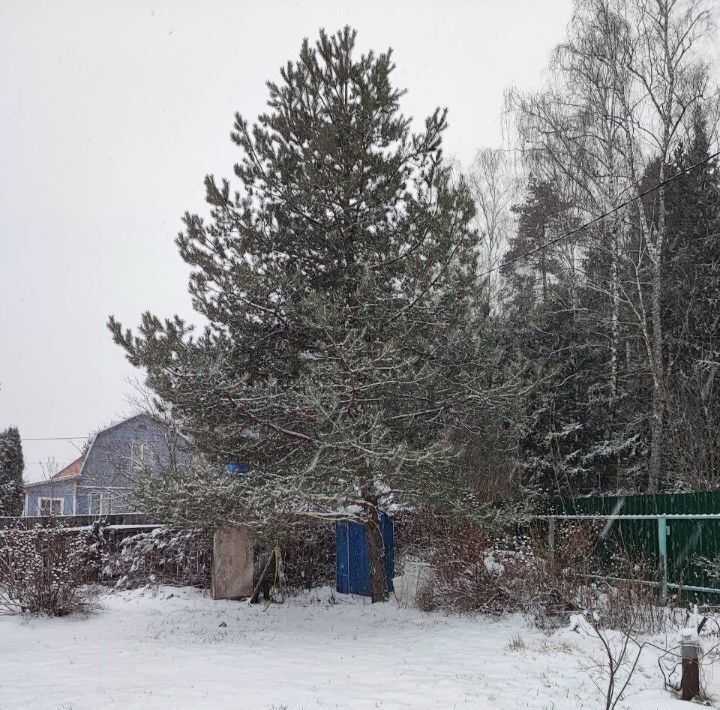 дом городской округ Мытищи д Сорокино снт Звездочка Медведково, 2-я линия фото 7