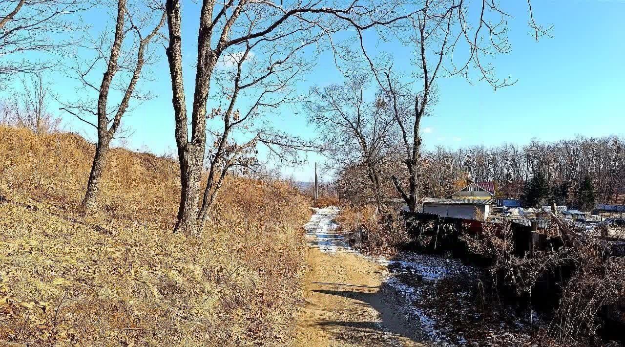 земля г Артем пгт Артемовский с. Олений, ул. Тропическая фото 1