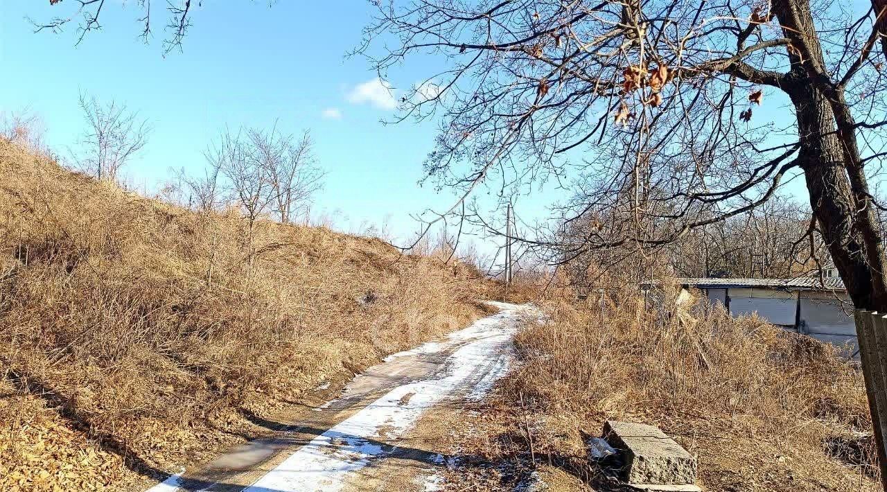 земля г Артем пгт Артемовский с. Олений, ул. Тропическая фото 2