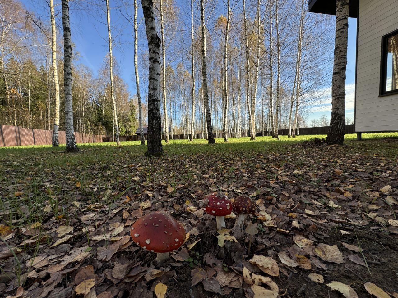 дом городской округ Волоколамский Подсолнечник тер фото 4