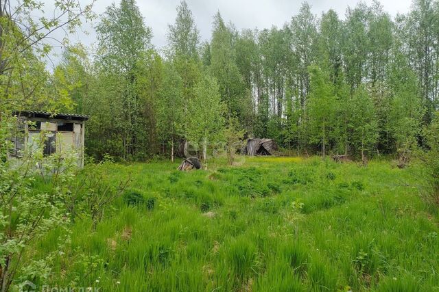 Ухта городской округ, территория Водненский, СНТ Рябинушка ДЗСМ фото