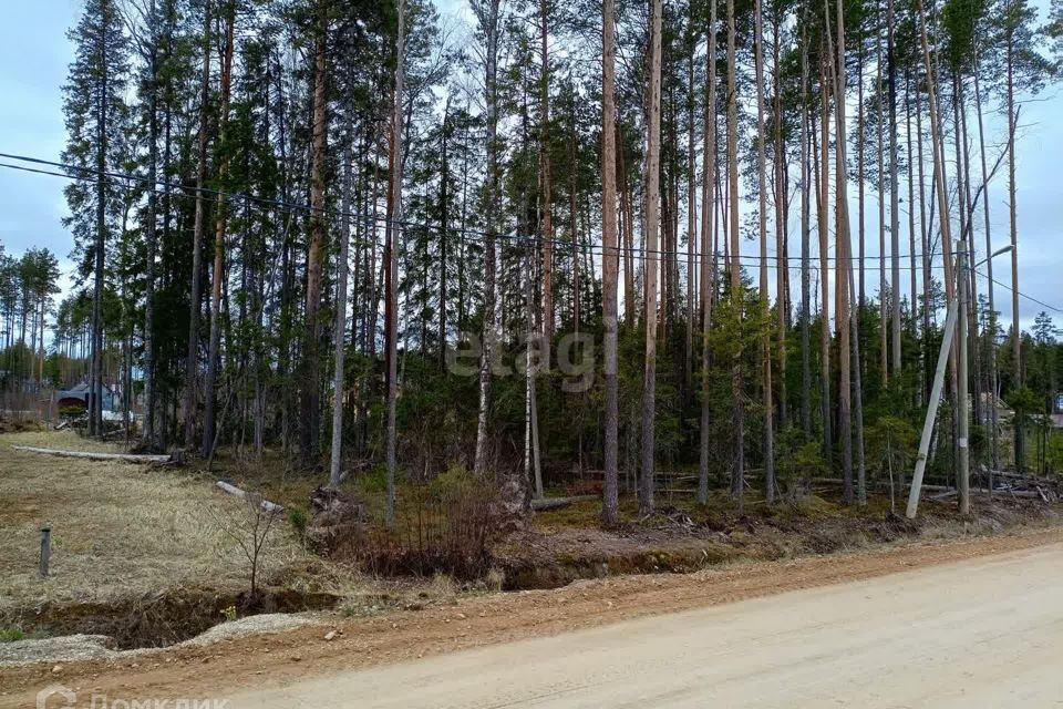 земля г Сыктывкар пгт Краснозатонский Сыктывкар городской округ, ЖМ Сосновая поляна фото 1