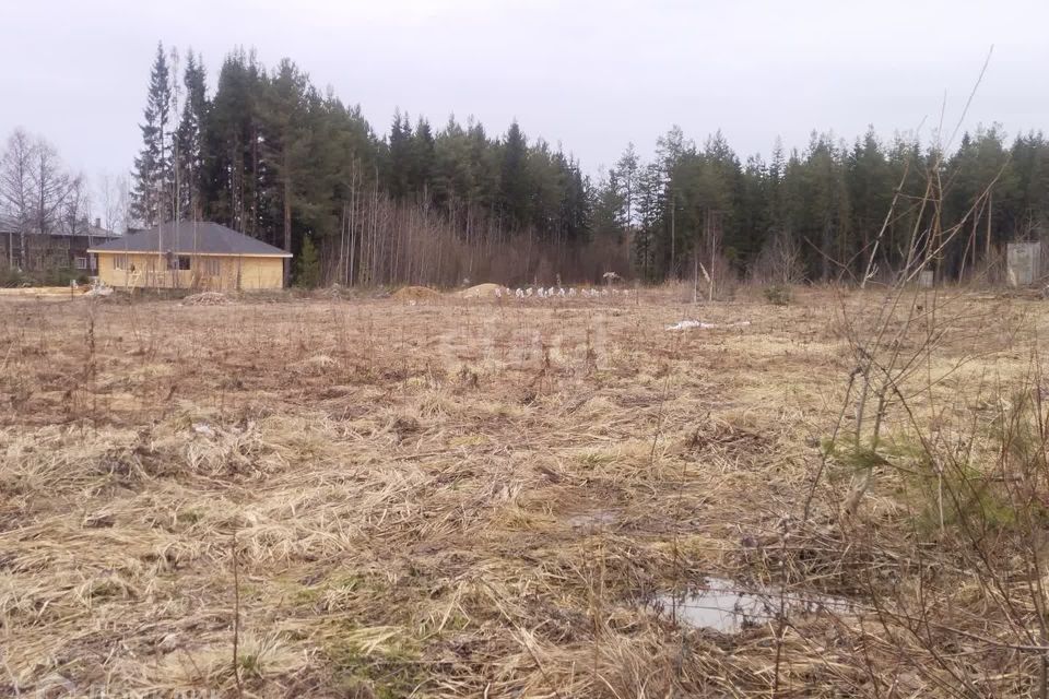 земля Сыктывкар городской округ, Краснозатонский фото 1