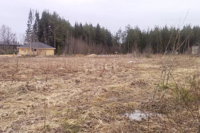 Сыктывкар городской округ, Краснозатонский фото