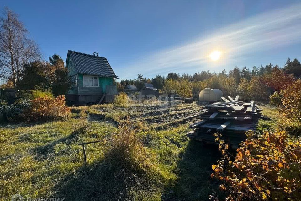 земля Северодвинск городской округ, 16, СНТ Рябинушка фото 1