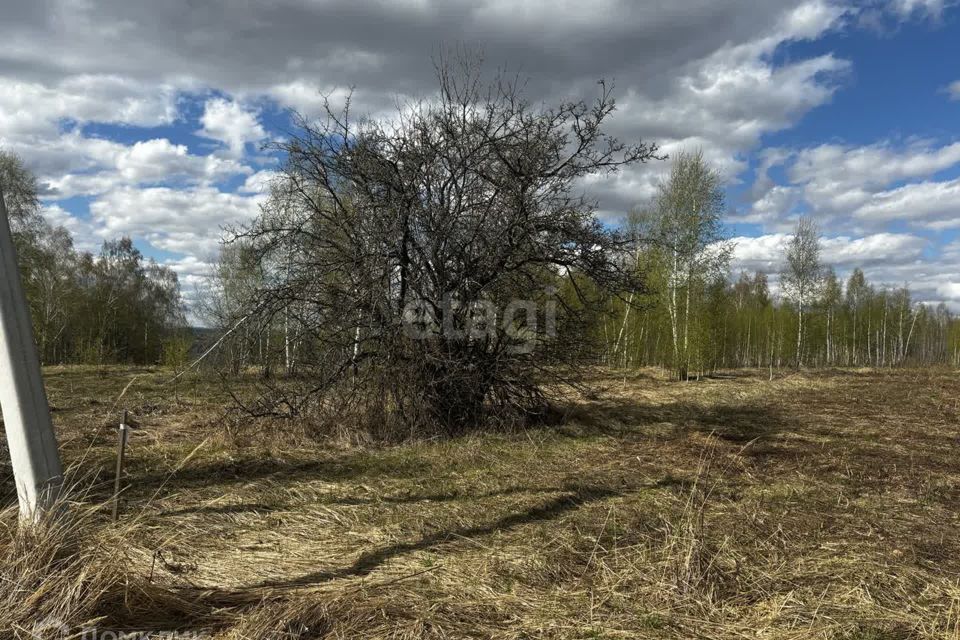 земля р-н Кстовский фото 3