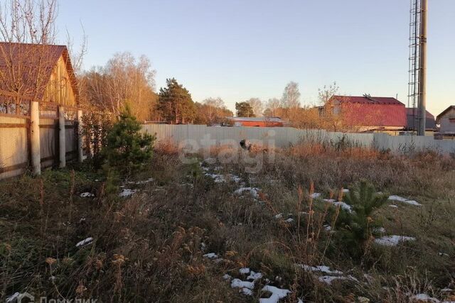 Тюмень городской округ, Верхний Бор фото