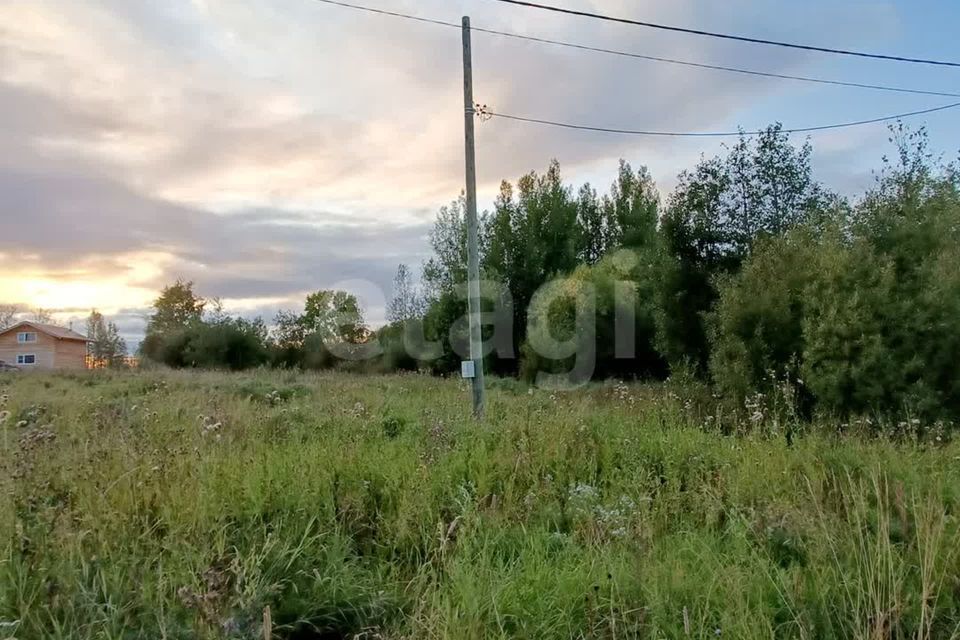 земля Ухта городской округ, Ухта фото 2