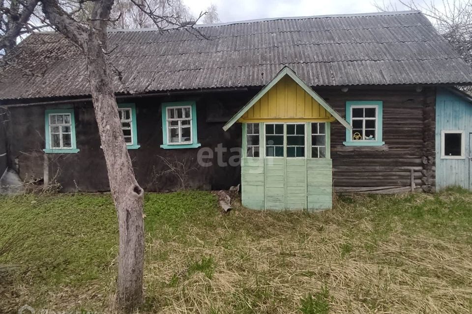 дом р-н Палкинский Леонтьево фото 1