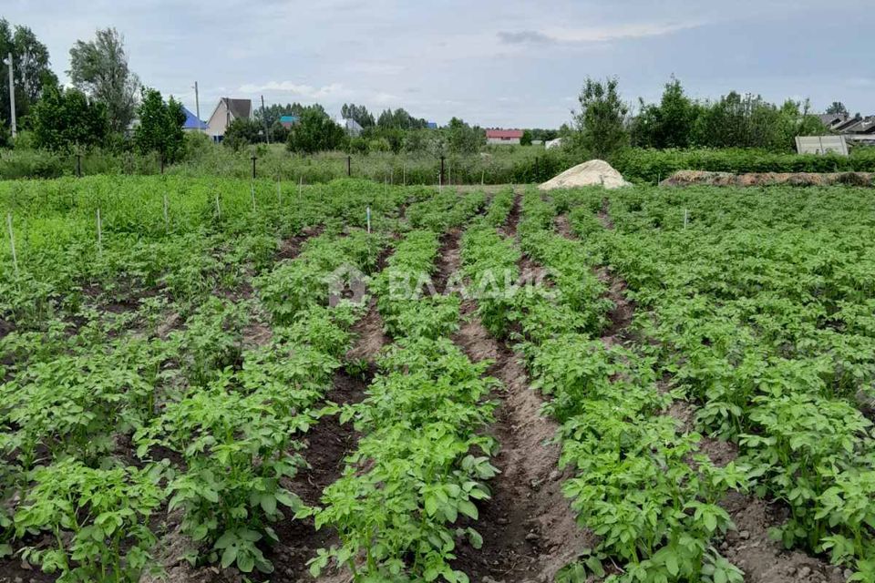 земля р-н Тобольский с Карачино ул Новая фото 1