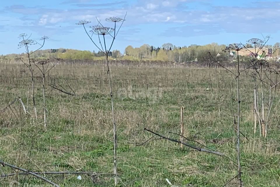 земля р-н Сыктывдинский фото 3