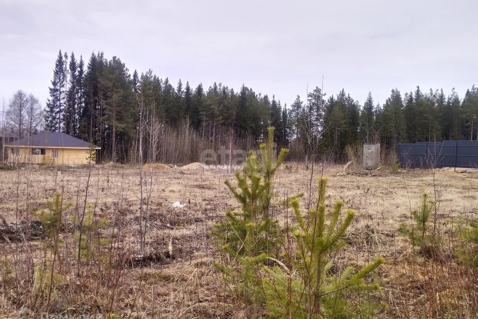 земля Сыктывкар городской округ, Краснозатонский фото 2