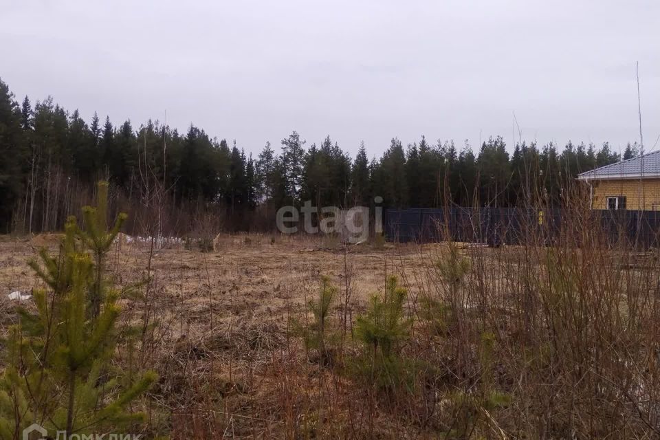 земля Сыктывкар городской округ, Краснозатонский фото 3