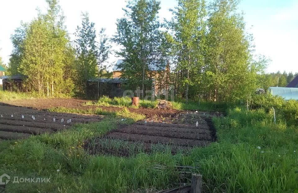 дом Сыктывкар городской округ, территория Эжвинский, Эжвинский снт Кедр фото 3