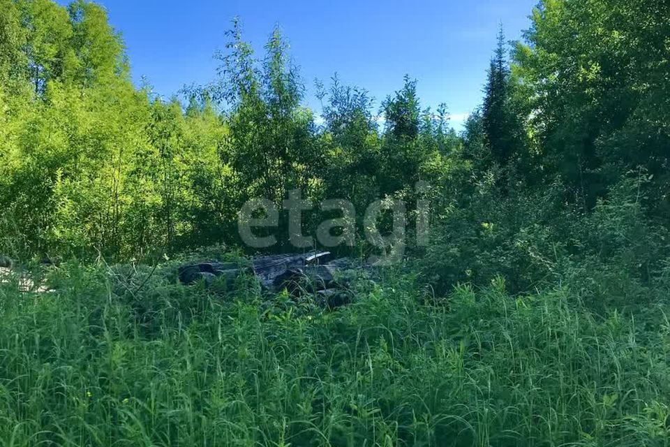 земля г Сыктывкар Сыктывкар городской округ, СНТ Мечта фото 4