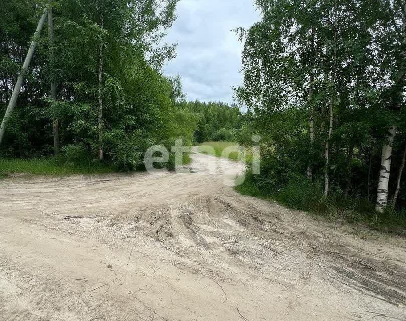 земля р-н Корткеросский фото 4